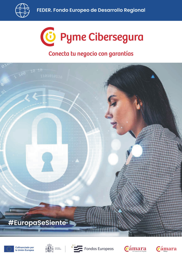 Cartel Pyme Cibersegura